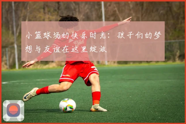 小篮球场的快乐时光：孩子们的梦想与友谊在这里绽放