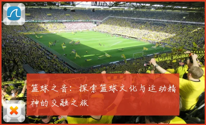 篮球之音：探索篮球文化与运动精神的交融之旅