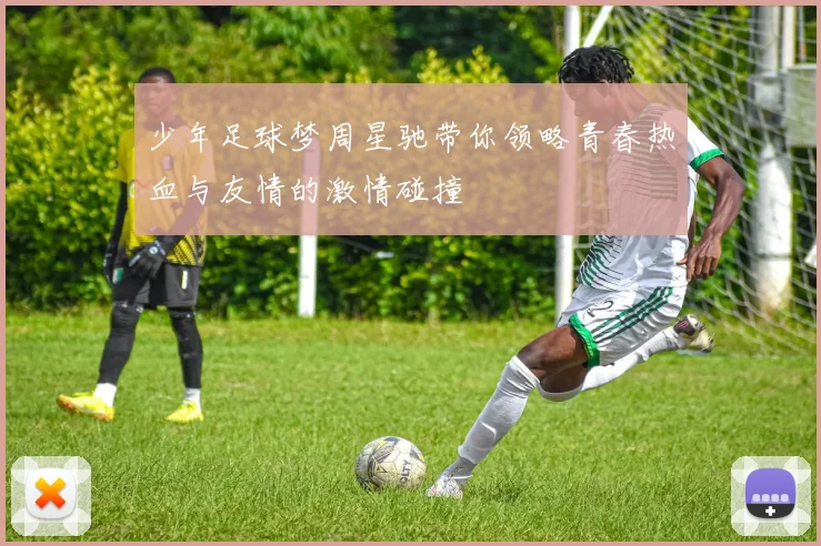 少年足球梦周星驰带你领略青春热血与友情的激情碰撞