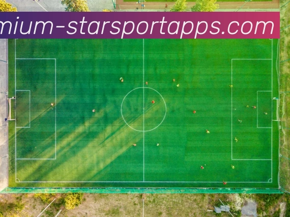 星空体育平台生态图