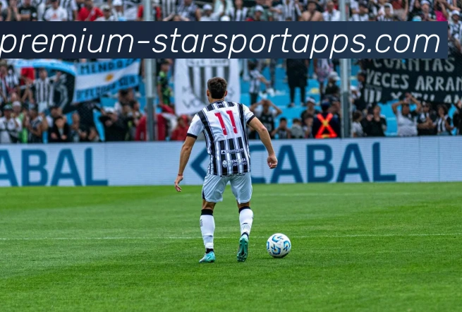 星空体育APP 封面图